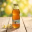 LIMONECTAR Szörp - Bodza 500ml (min. 6 literhez)