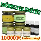 Méregtelenítés extra - 1 havi csomag