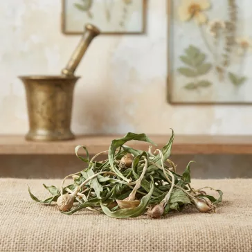 Medvehagyma - Levél 90g