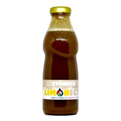 LIMONECTAR Szörp - Gyömbér 500ml (min. 6 literhez)