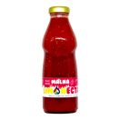 LIMONECTAR Szörp - Málna 500ml (min. 6 literhez)