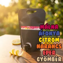 LIMONECTAR Szörp - Berkenye 1500ml (min. 18 literhez)