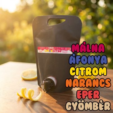 LIMONECTAR Szörp - Berkenye 1500ml (min. 18 literhez)