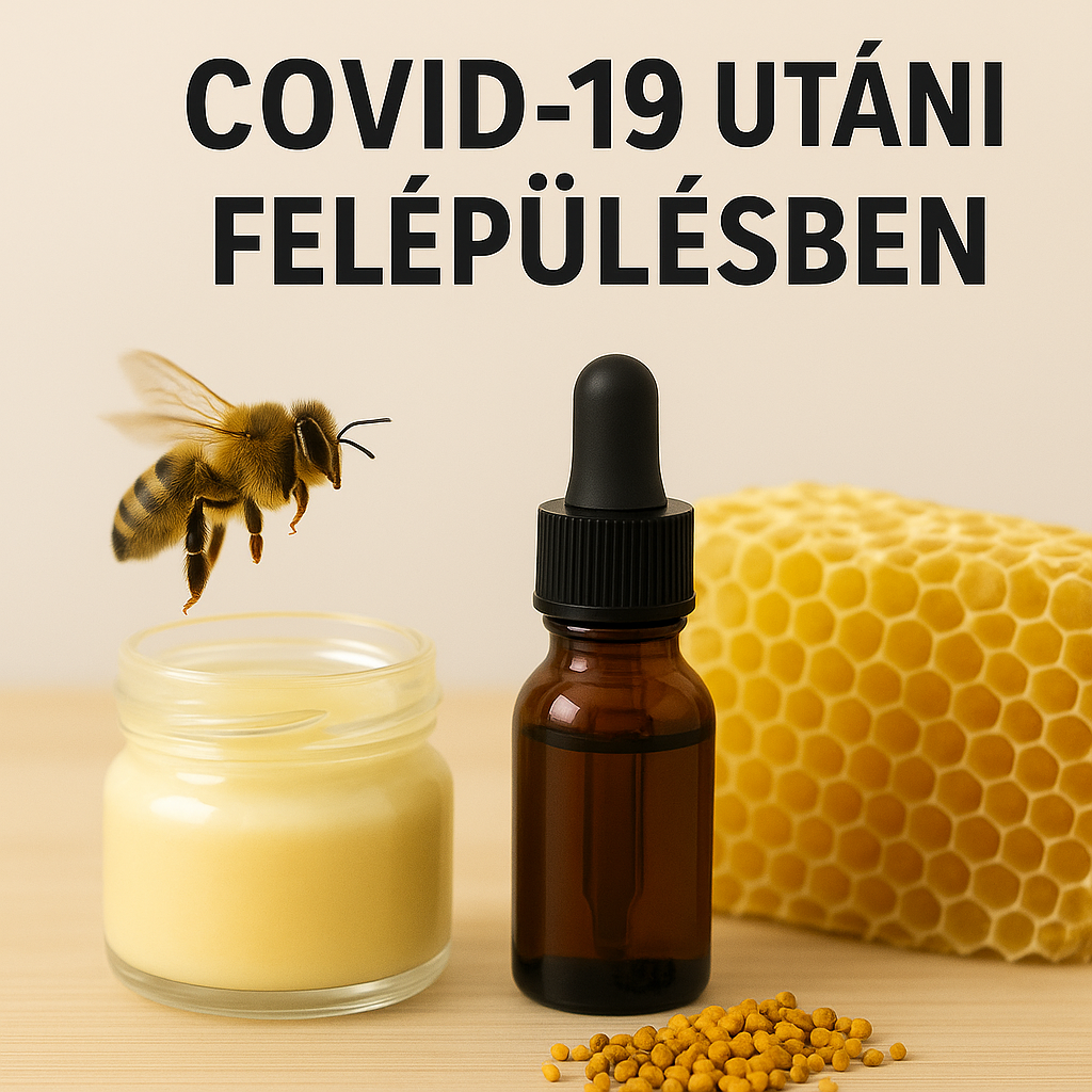COVID-19 utáni regeneráció méhtermékekkel – Kutatási összefoglaló