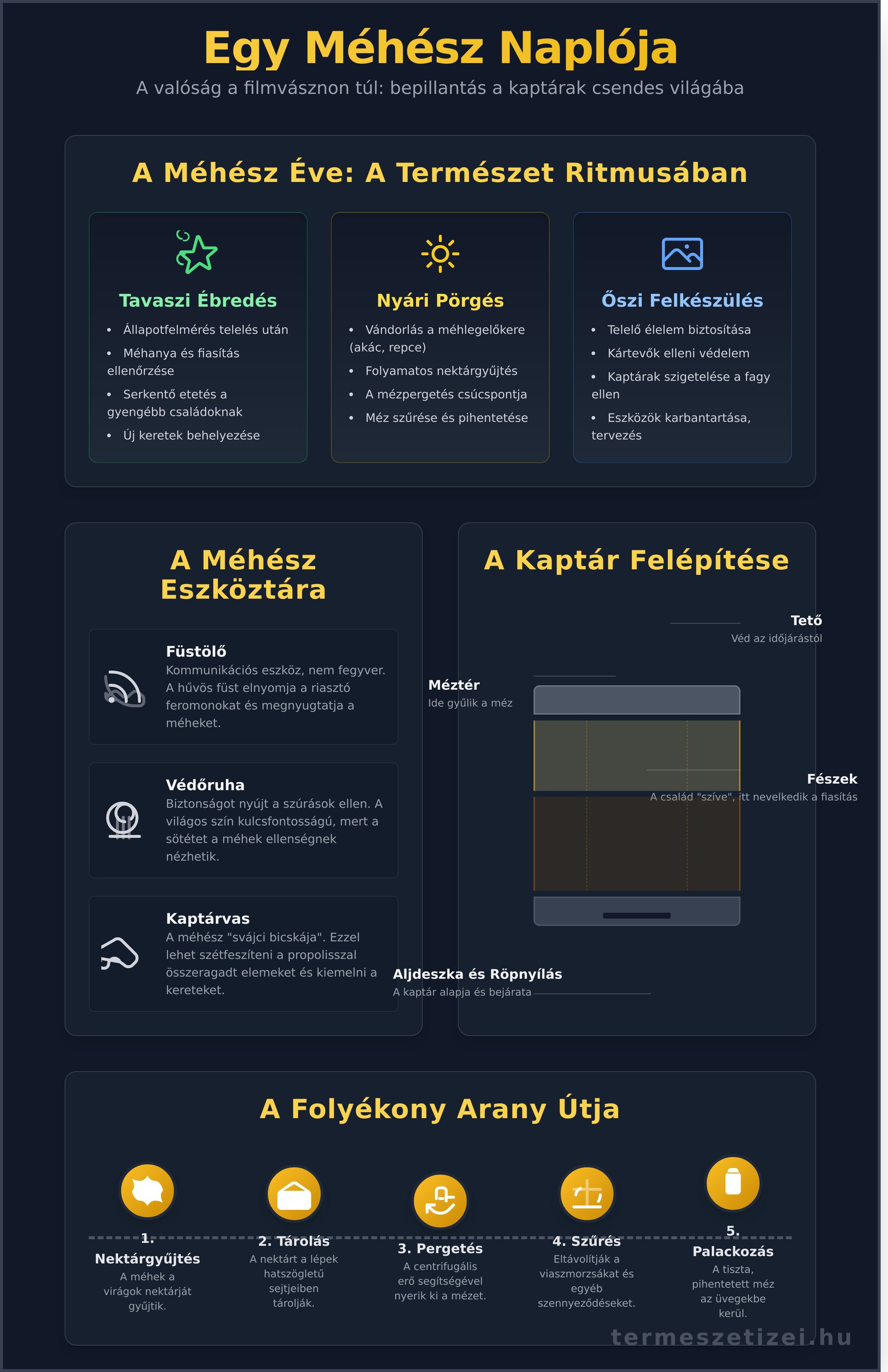 A méhész: Több mint egy akciófilm - Egy valódi méhész naplója - infographic